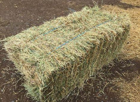 HAY MEADOW PER BALE