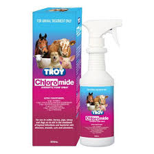TROY CHLOROMIDE SPRAY 500ML