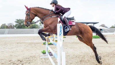 Reducing Stress in your horse during competition season