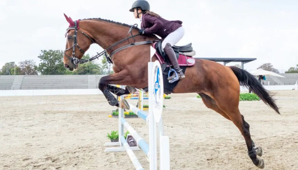 Reducing Stress in your horse during competition season