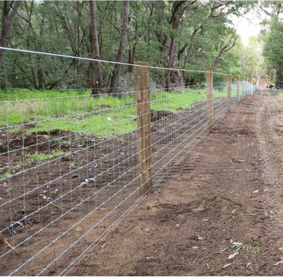 FENCING