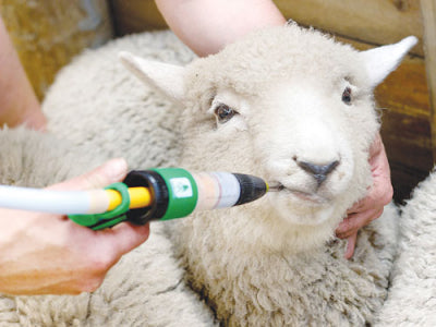 DRENCH GUNS & VACCINATORS
