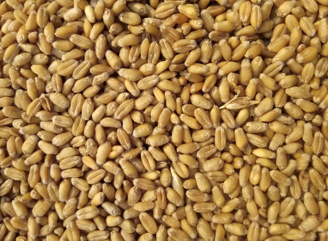 GRAINS