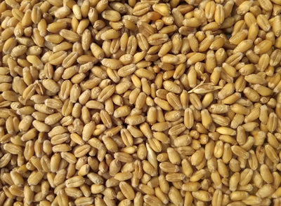 GRAINS