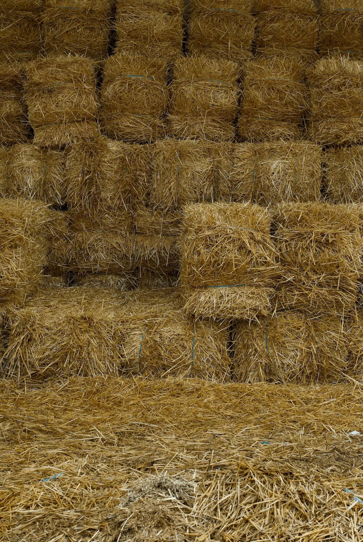 HAY & CHAFF