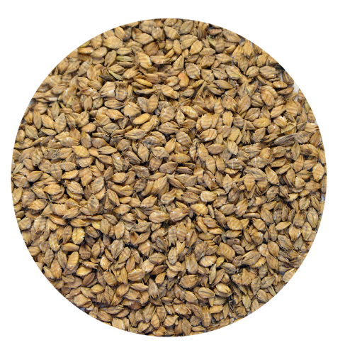 BARLEY STEAM FLAKED 25KG