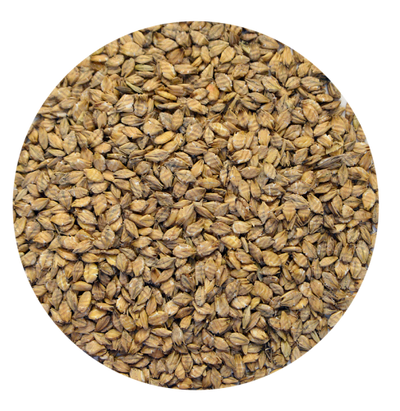 BARLEY STEAM FLAKED 25KG