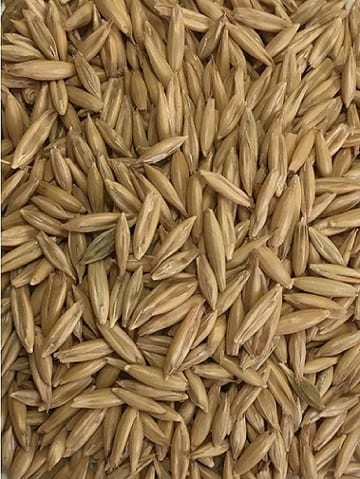 OATS CLIPPED & DRESSED FEED 25KG