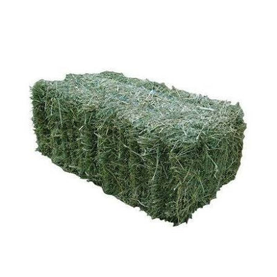 HAY LUCERNE PER BALE
