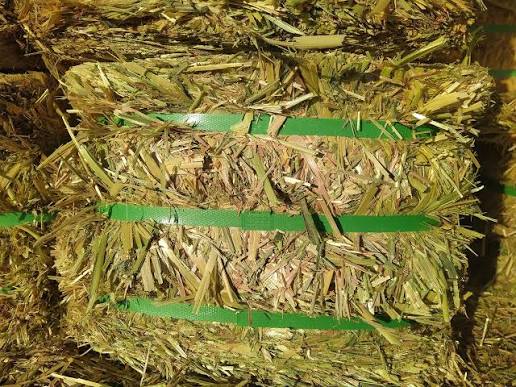 HAY OATEN COMPRESSED BALE