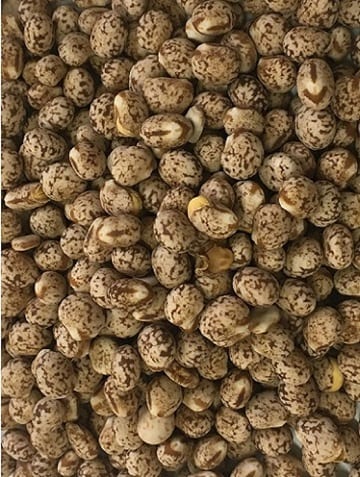 LUPINS WHOLE 25KG BAG