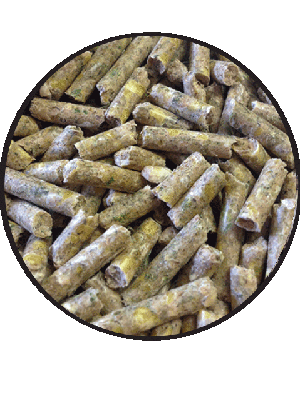 RABBIT & GUINEA PIG PELLETS [WT:20KG]