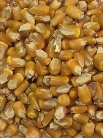 MAIZE WHOLE 25KG