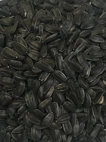 SUNFLOWER SEED BLACK [WT:20KG]