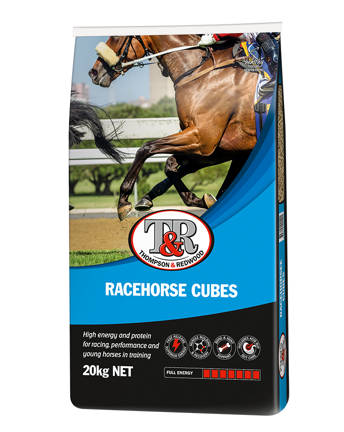 T & R RACEHORSE CUBES 20KG