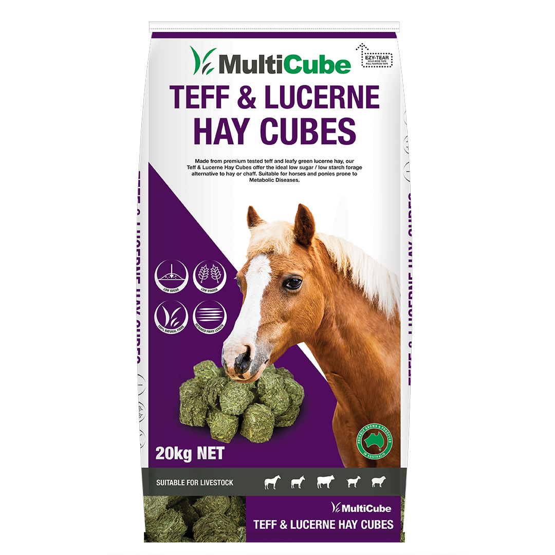 MULTICUBE TEFF & LUCERNE 20KG 