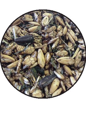 T&R ALPACA MUESLI MIX (25KG)