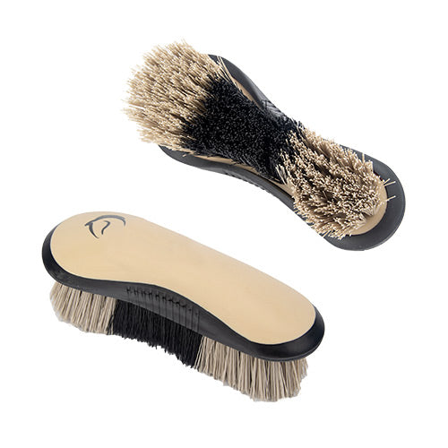 DANDY BRUSH SENIOR VARIOUS COLOURS