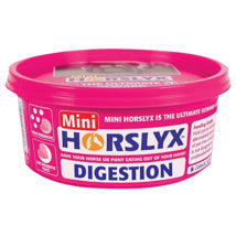 HORSLYX DIGESTION MINI VIT & MIN LICK 650GM