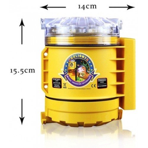 FOXLIGHT BATTERY OPERATED 