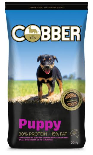 COBBER PUPPY [WT:20KG]