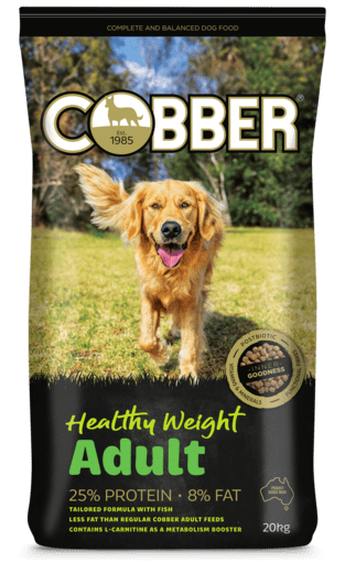 COBBER HEALTHY WEIGHT  DOG 20KG 