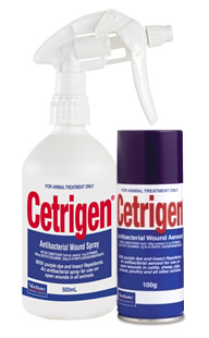 CETRIGEN AEROSOL 100G
