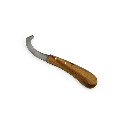 BOT EGG KNIFE WOOD HANDLE