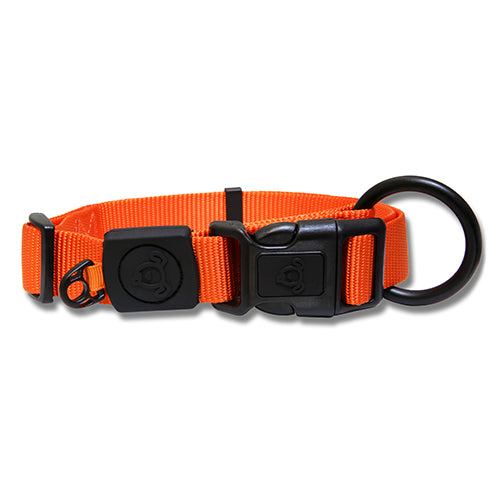 DOG COLLAR NYLON 35-51CM 