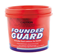 VIRBAC FOUNDER GUARD [WT:1KG]