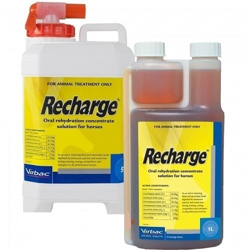 RECHARGE HORSE 1L VIRBAC