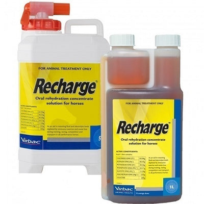 RECHARGE HORSE 1L VIRBAC