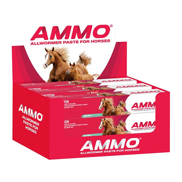 AMMO ALL WORMER HORSE PASTE RED 30GM