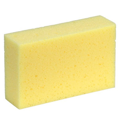 WASH DOWN SPONGE 