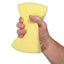 WASH DOWN SPONGE 