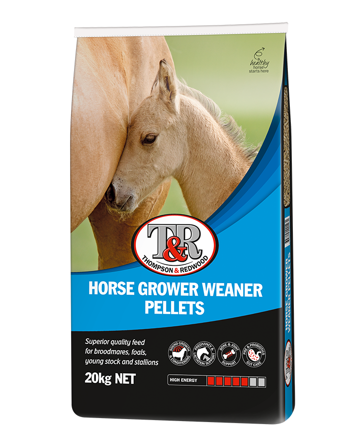 T & R HORSE GROWER & WEANER 20 KG