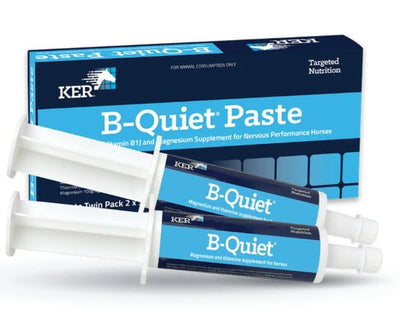 KER B QUIET PASTE 30G X 2