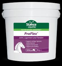 PROFLEX 2KG 