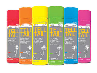 TELL TAIL SPRAY PAINT BLUE 500ML